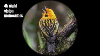 4K उच्च गुणवत्ता वाली रात्रि दृष्टि मोनोकुलर