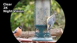 स्पष्ट वीडियो 2K रात्रि दृष्टि चश्मा कैप्चर करें