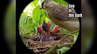 होंडिगी नाइट विजन गॉगल्स अवलोकन